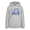 Boys 4-7 Under Armour Mountain Logo Graphic Hoodie